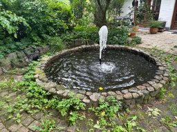 IMG_0216